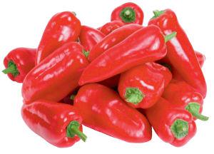 izdolžena rdeča paprika