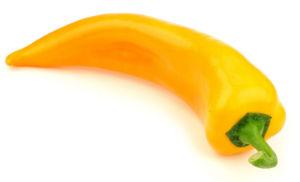 bela izdolžena paprika