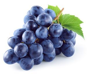 Črno Grozdje