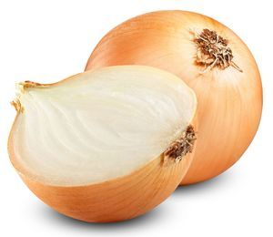 Čebula