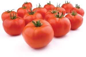 Okrogli Paradižnik 