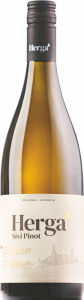 belo vino sivi pinot