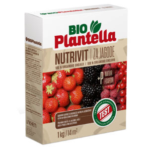 Plantela Bio nutrivid za jagode, 1kg