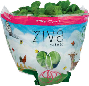 Živa Solata SLO