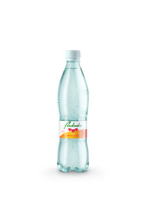 gazirana brezalkoholna pijača z okusom manga in limete, radenska, 0,5 l