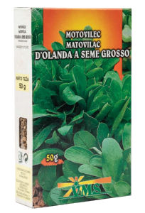 SEME MOTOVILEC NAVADNI 50g HOLANDSKI LJUBO SEME