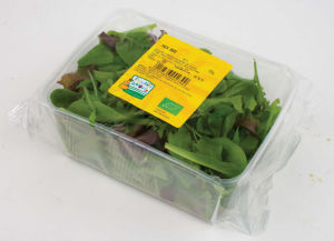 Bio Mešana Solata pakirano 125 g