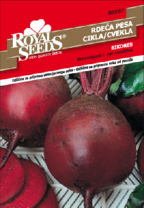 Seme Rdeča Pesa bikor Royal 67