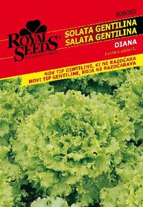 Seme Solata Dian Gentilina Royal 85
