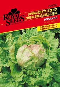 Seme Posavska Solata Royal 89