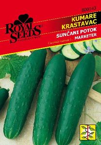 Seme Royal, kumare, 143