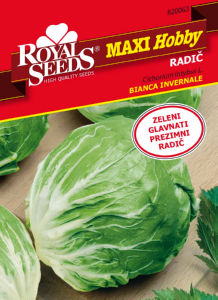 Seme Royal, radič Invernale