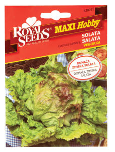 Seme Royal MH 55, Solata vegorka