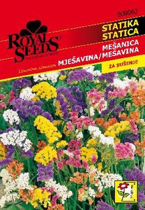 Seme Limonium Royal 62