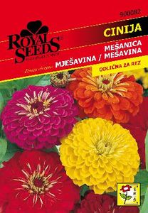 Seme Cinija Mešanica Royal 82